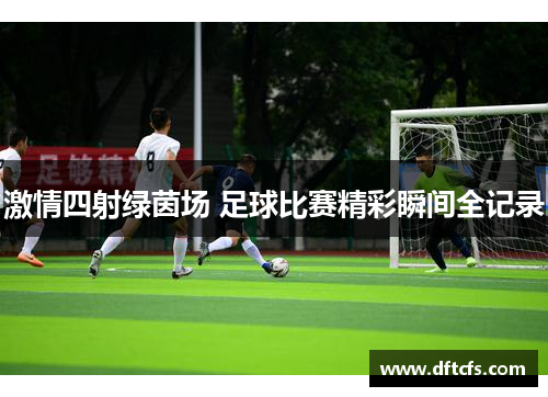 激情四射绿茵场 足球比赛精彩瞬间全记录