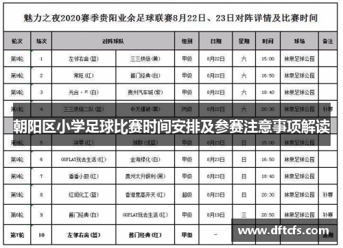 朝阳区小学足球比赛时间安排及参赛注意事项解读